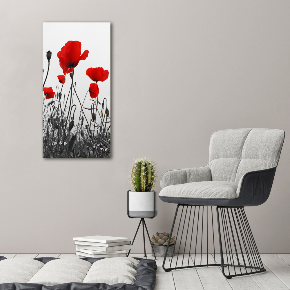 Wall art acrylic Field poppies