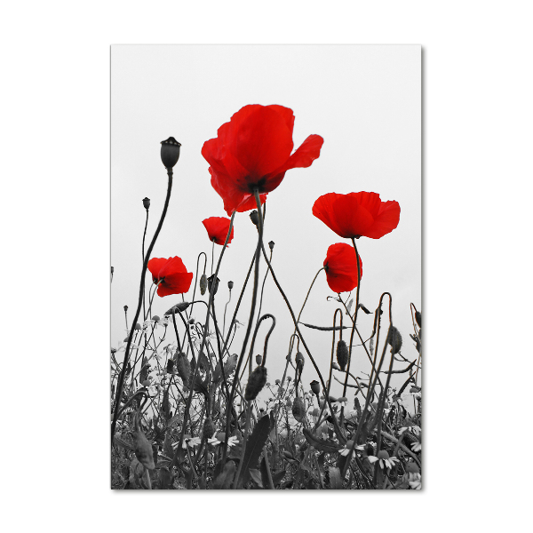 Wall art acrylic Field poppies