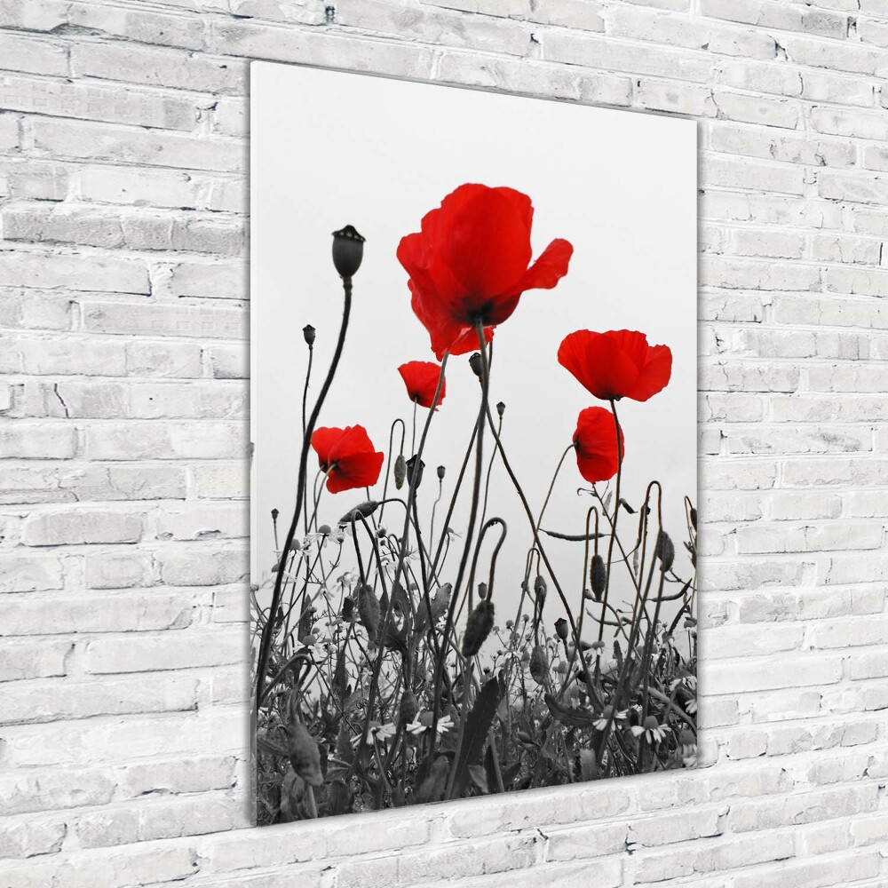 Wall art acrylic Field poppies