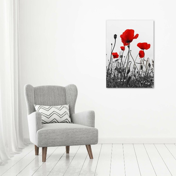 Wall art acrylic Field poppies