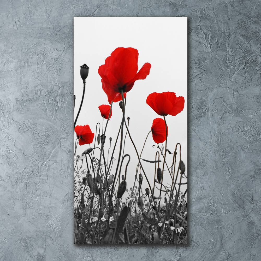 Wall art acrylic Field poppies