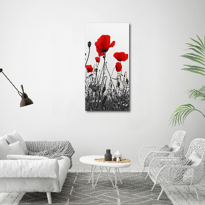 Wall art acrylic Field poppies