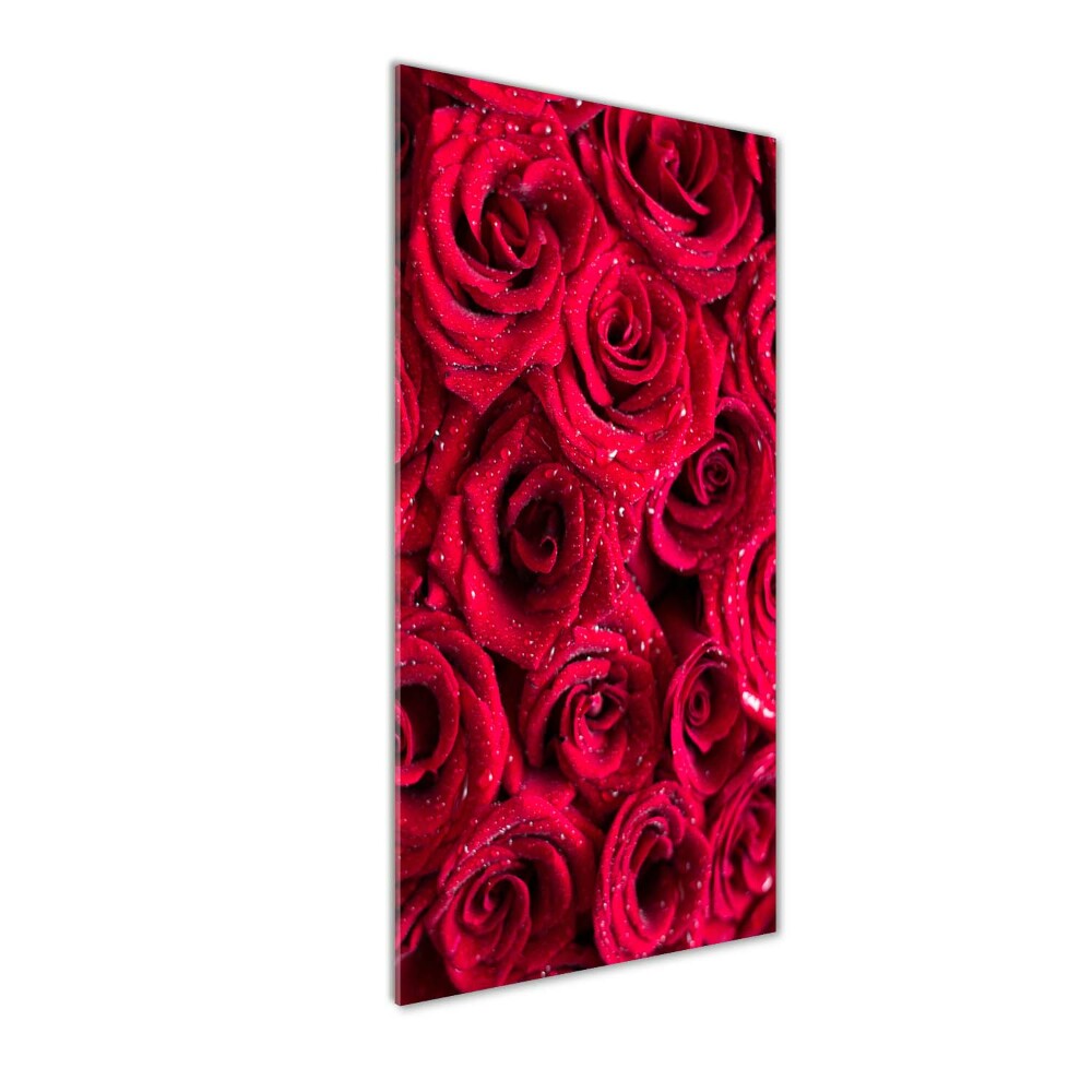 Print on acrylic Red roses