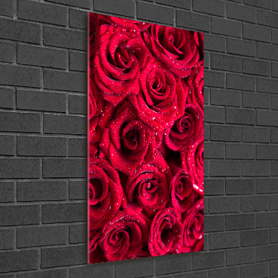 Print on acrylic Red roses