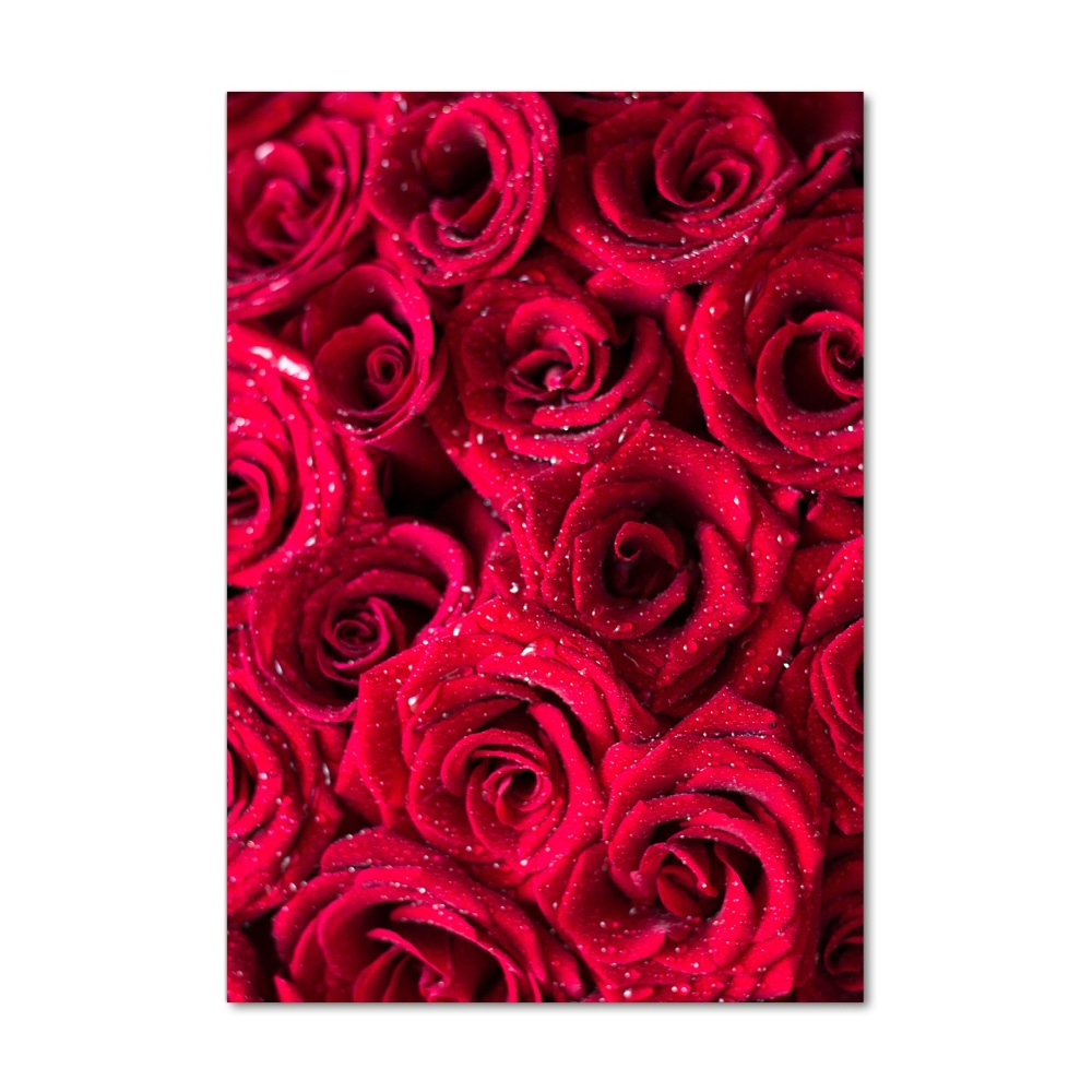 Print on acrylic Red roses