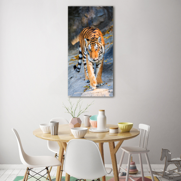 Print on acrylic Tiger