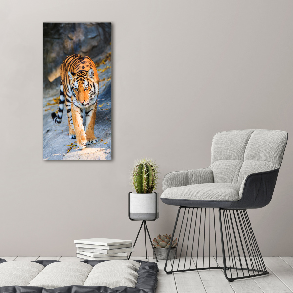 Print on acrylic Tiger