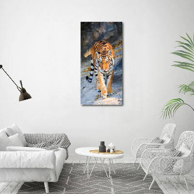 Print on acrylic Tiger