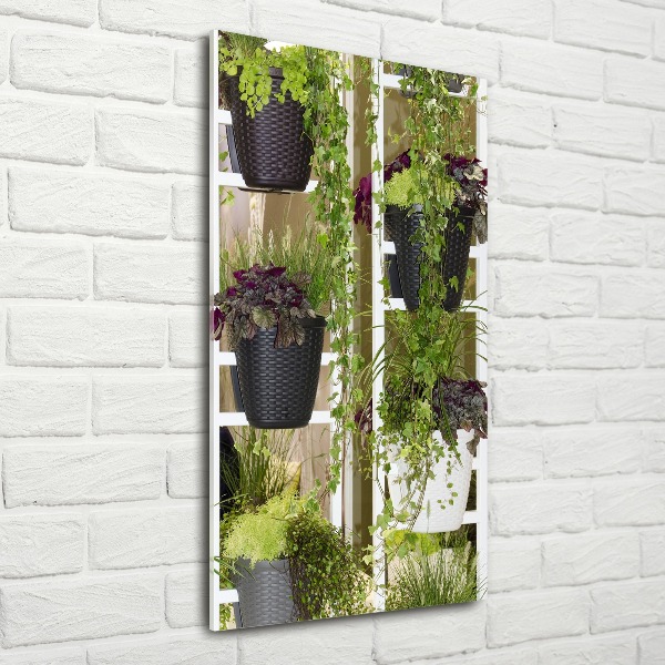 Acrylic wall art Flowerbed