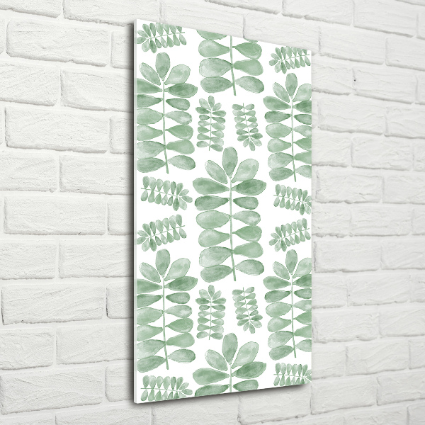 Acrylic print Eucalyptus leaves