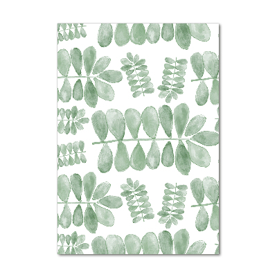 Acrylic print Eucalyptus leaves