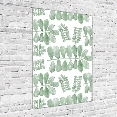 Acrylic print Eucalyptus leaves