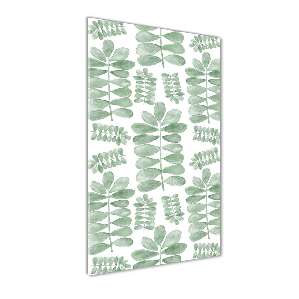 Acrylic print Eucalyptus leaves