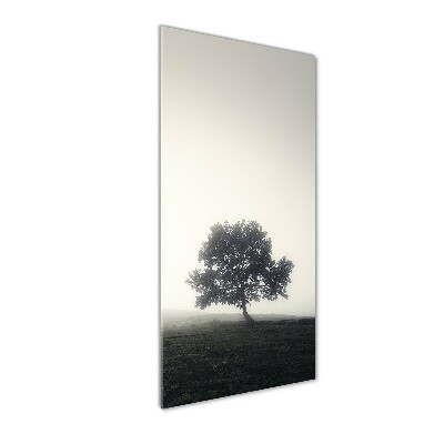 Print on acrylic Tree in the fog