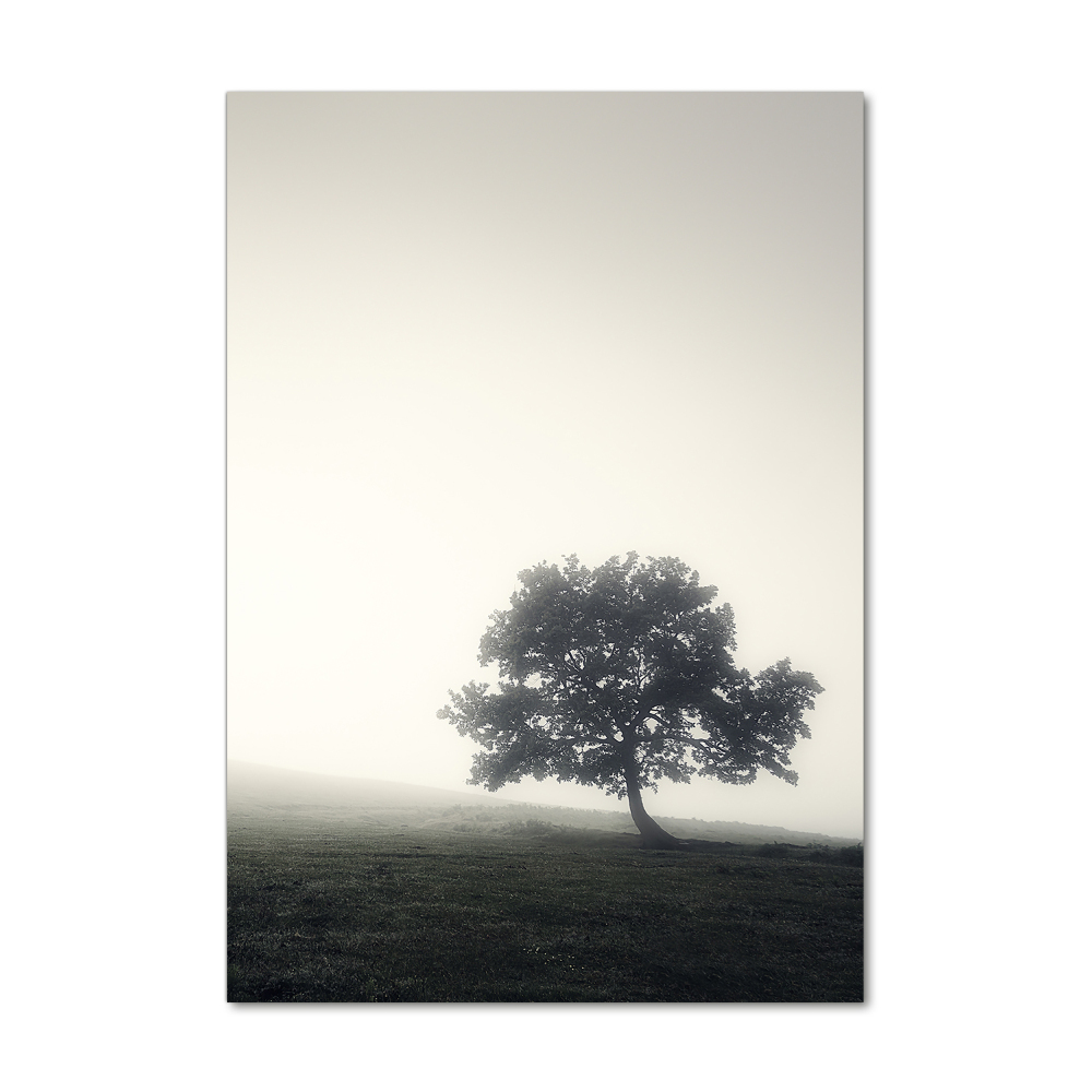 Print on acrylic Tree in the fog