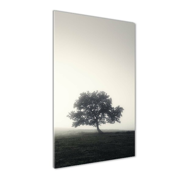 Print on acrylic Tree in the fog