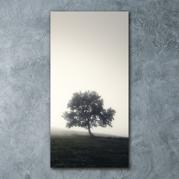 Print on acrylic Tree in the fog