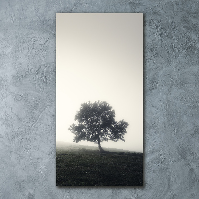 Print on acrylic Tree in the fog