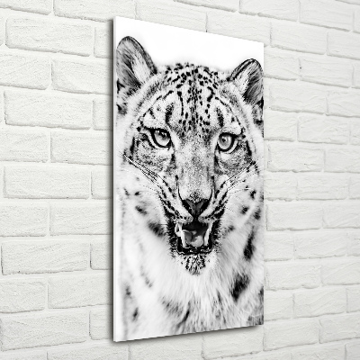 Print on acrylic Snow panther