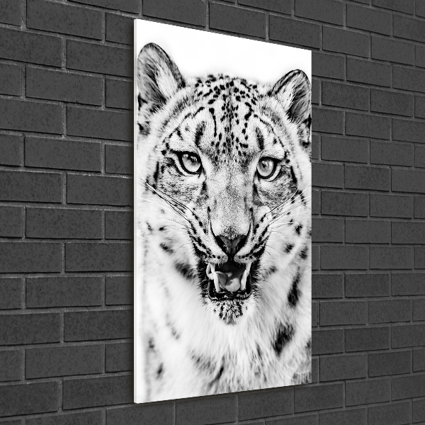 Print on acrylic Snow panther