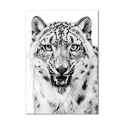 Print on acrylic Snow panther