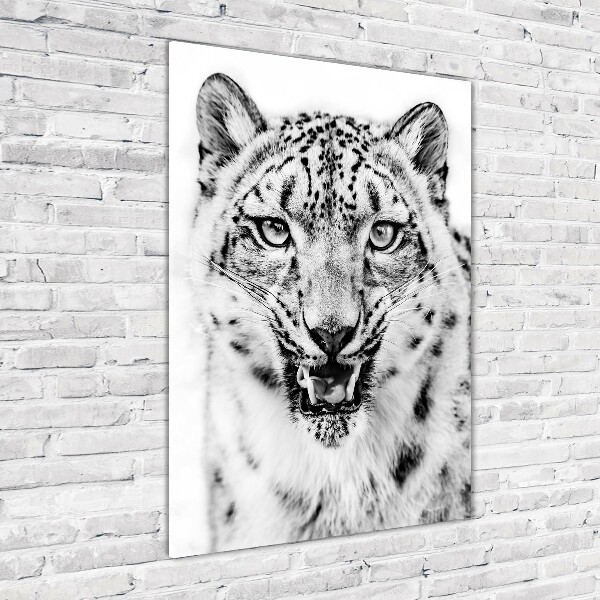 Print on acrylic Snow panther