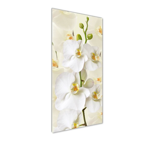 Print on acrylic White orchid