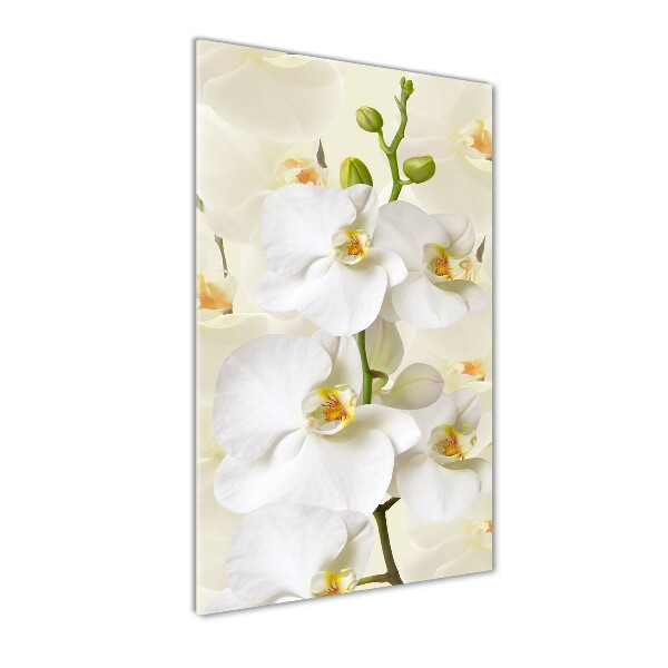 Print on acrylic White orchid