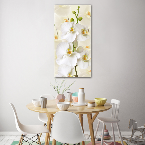 Print on acrylic White orchid