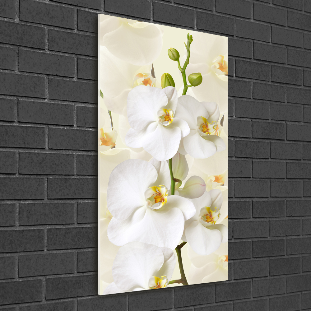 Print on acrylic White orchid