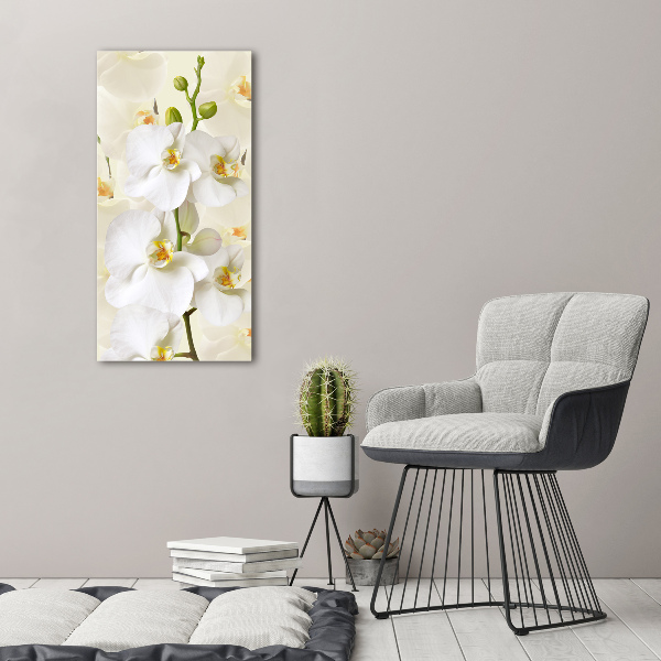 Print on acrylic White orchid