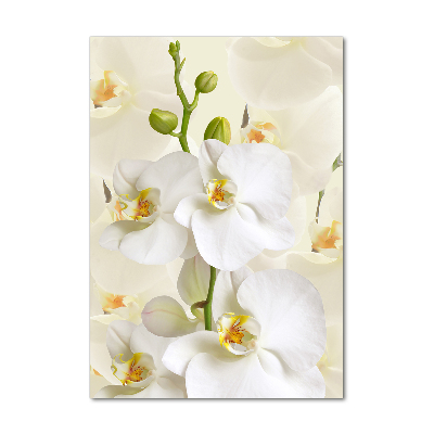 Print on acrylic White orchid