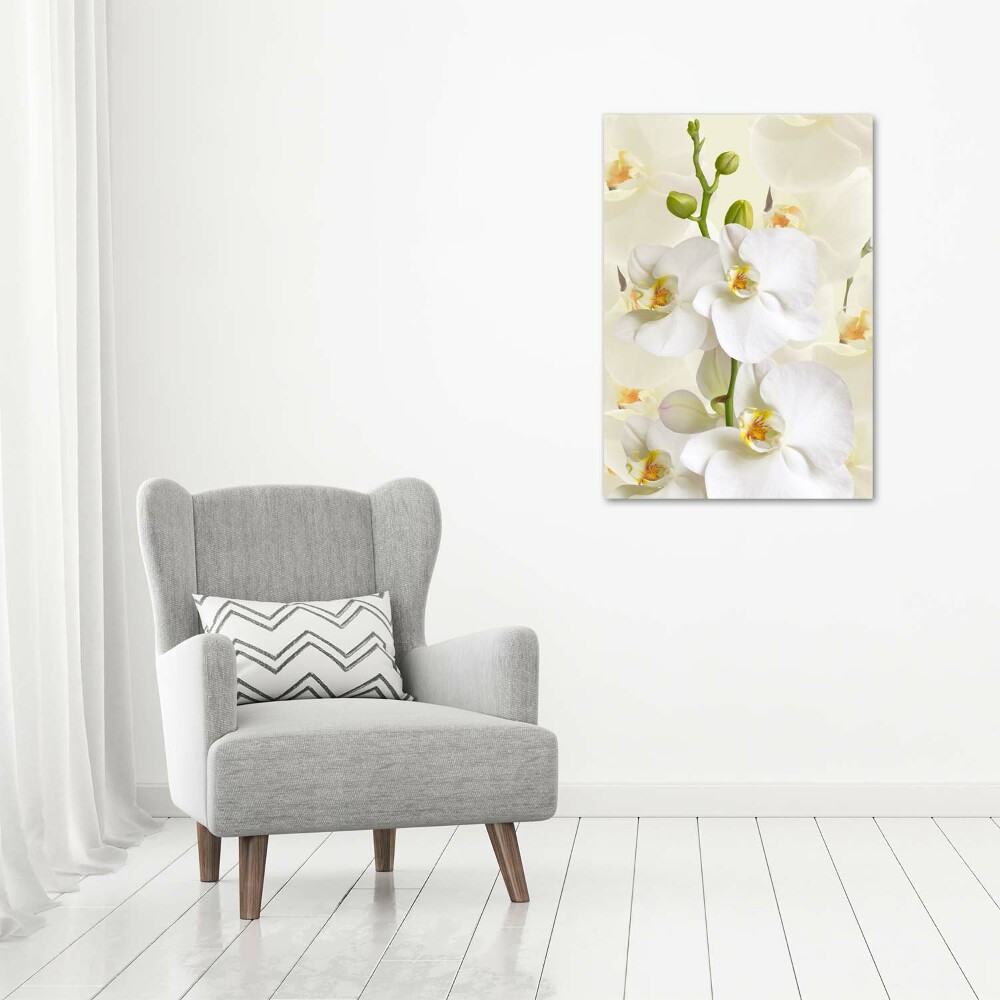 Print on acrylic White orchid