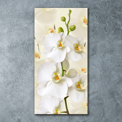 Print on acrylic White orchid