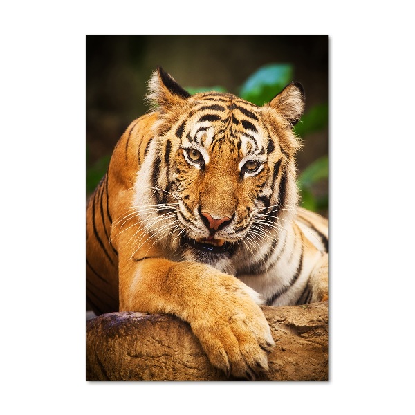 Wall art acrylic Bengal tiger