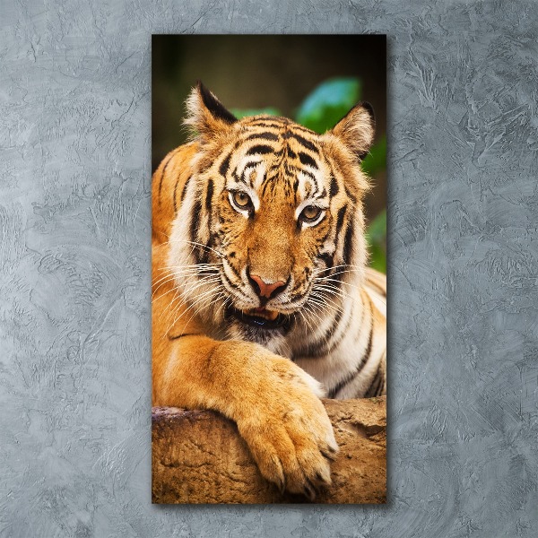 Wall art acrylic Bengal tiger