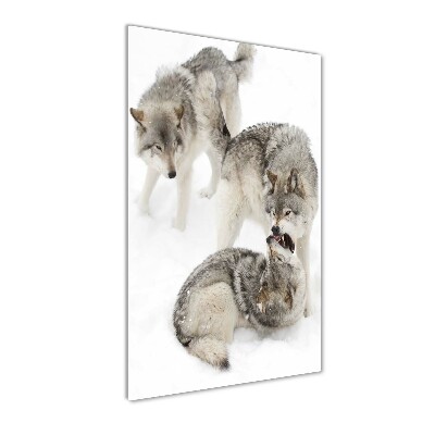 Wall art acrylic Gray wolves