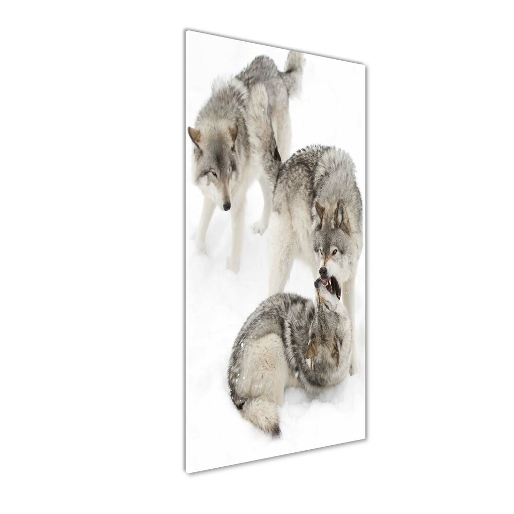 Wall art acrylic Gray wolves