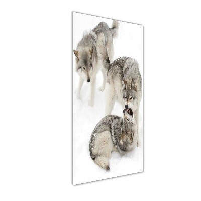 Wall art acrylic Gray wolves