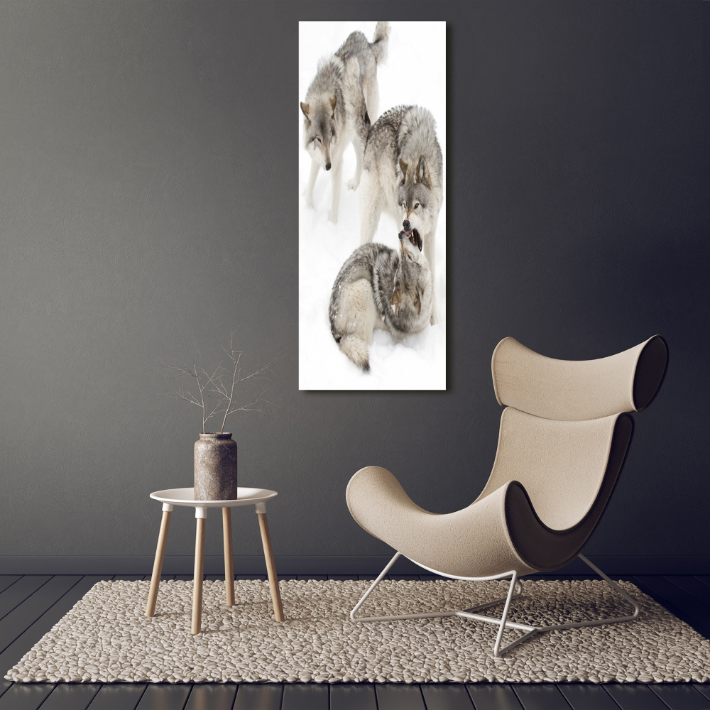 Wall art acrylic Gray wolves