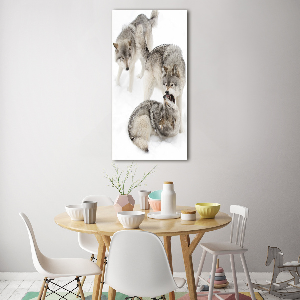 Wall art acrylic Gray wolves