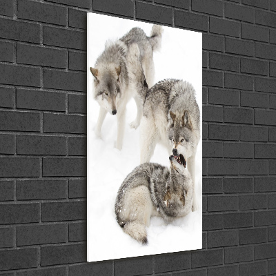 Wall art acrylic Gray wolves