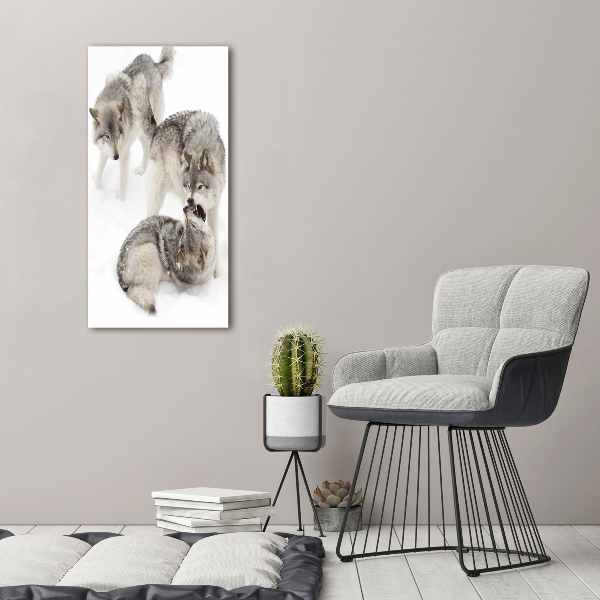 Wall art acrylic Gray wolves