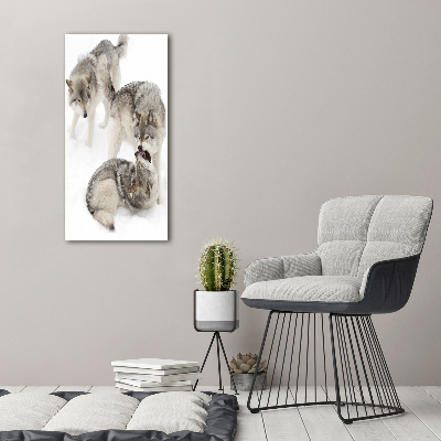 Wall art acrylic Gray wolves