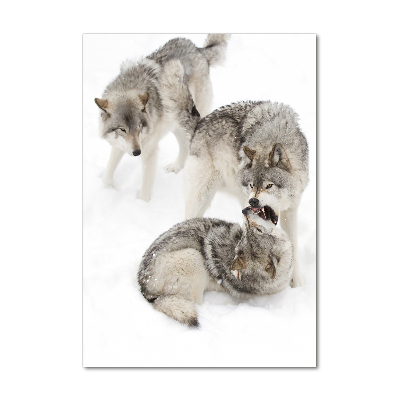 Wall art acrylic Gray wolves