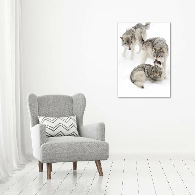 Wall art acrylic Gray wolves