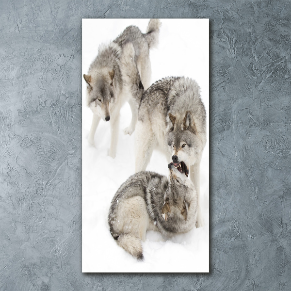 Wall art acrylic Gray wolves