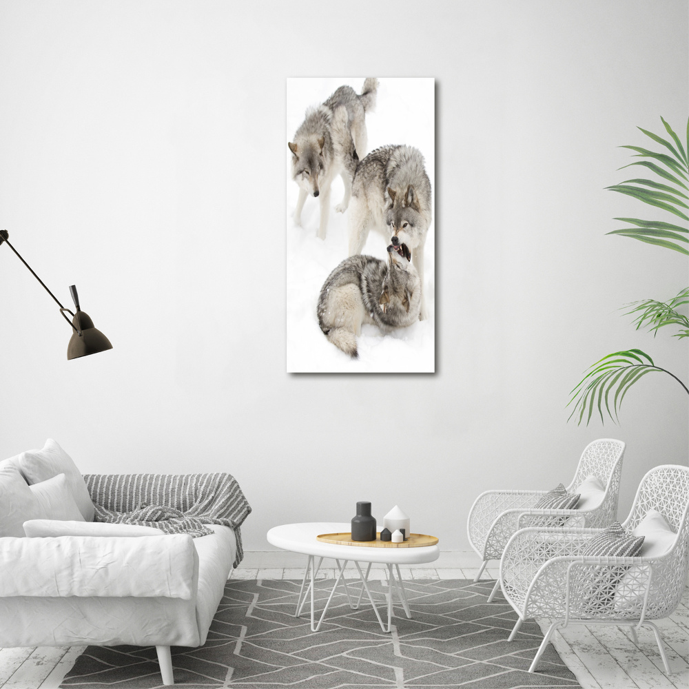 Wall art acrylic Gray wolves