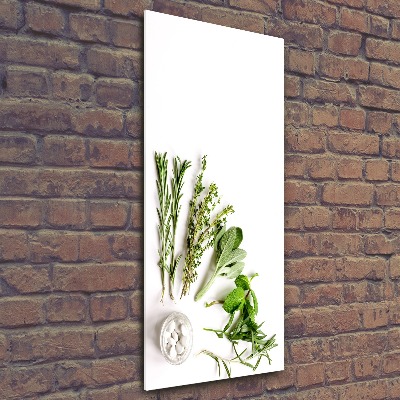 Print on acrylic Herbs