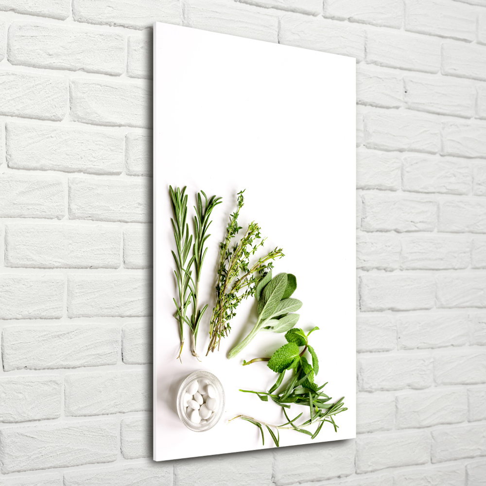 Print on acrylic Herbs